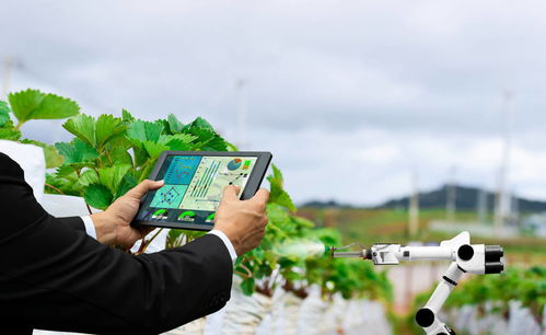 智能农业管理 电商知识赋能，农民如何抓住红利期